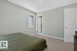 Bedroom featuring light gray walls, white trim, a single window with blinds, and beige carpet flooring - 