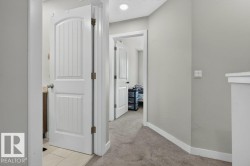 Hallway featuring light gray wall paint, plush carpet flooring, and white trim - 