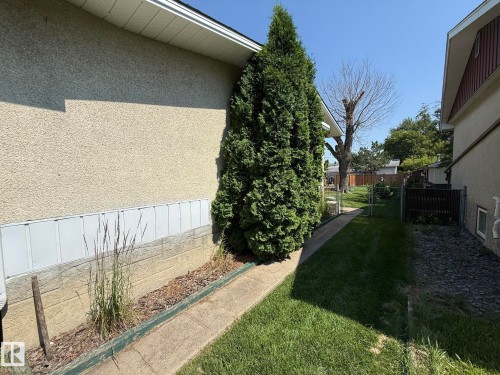 Exterior stucco finish with a concrete walkway and mature evergreen landscaping - 10837 155 Street Nw, Edmonton, AB - Outdoor