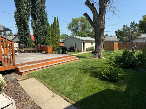 Spacious backyard featuring a multi-level wood deck, established lawn, mature trees, and a detached shed - 10837 155 Street Nw, Edmonton, AB - Outdoor With Deck Patio Veranda With Backyard