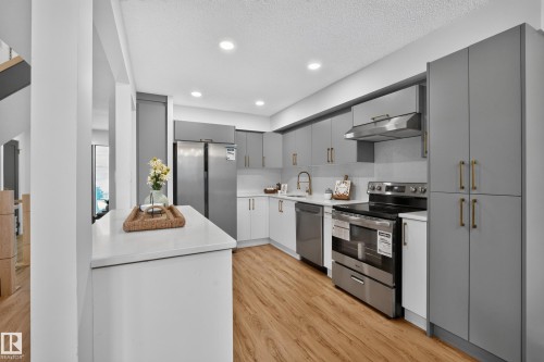 3320 130A Avenue Nw, Edmonton, AB - Indoor Photo Showing Kitchen With Stainless Steel Kitchen