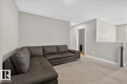 Loft space featuring neutral wall tones, textured ceiling, and plush carpeting - 