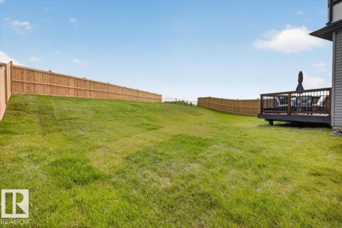 Expansive green lawn with a full privacy fence - 347 Bluff Cove, Leduc, AB - Outdoor