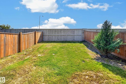 Fully fenced backyard featuring a mix of wood and composite fencing, a mature evergreen shrub, and a grass lawn - 4620 Alwood Way Sw, Edmonton, AB - Outdoor