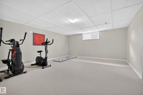 9036 145 Street Nw, Edmonton, AB - Indoor Photo Showing Gym Room