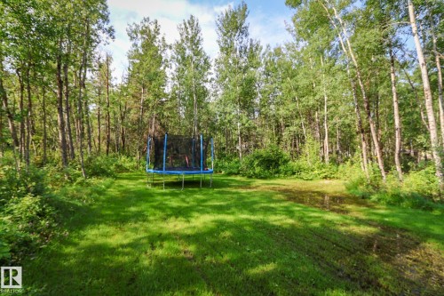 Expansive green space featuring a natural tree line and mature deciduous trees - 200 12272 Township Road 602, Rural Smoky Lake County, AB 