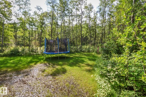 Expansive wooded backyard with mature trees, a gravel path, and a lush lawn bordered by natural foliage - 200 12272 Township Road 602, Rural Smoky Lake County, AB 