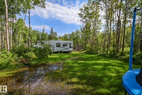 Expansive grassy clearing surrounded by a dense forest of mature trees - 200 12272 Township Road 602, Rural Smoky Lake County, AB 