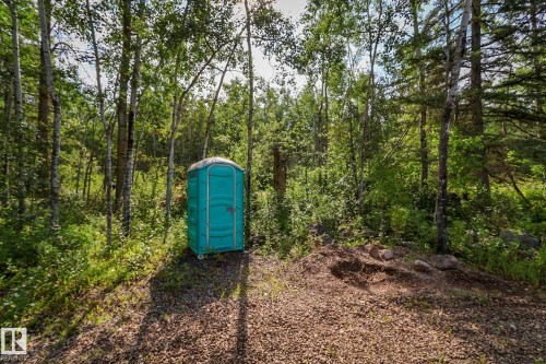 Wooded lot with mature deciduous and evergreen trees, featuring a gravel ground cover and partial sunlight filtering through the canopy - 200 12272 Township Road 602, Rural Smoky Lake County, AB 