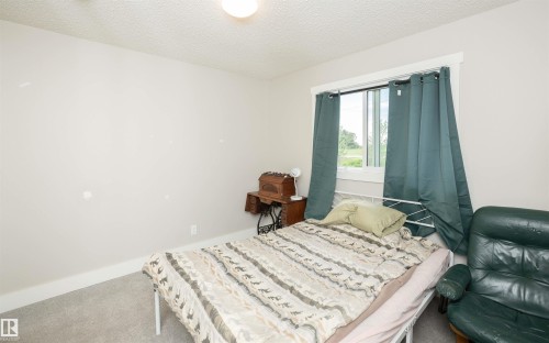 Carpeted room featuring light gray wall paint, a prominent window with white trim, and a white ceiling light fixture - 62503A Hwy 769, Rural Barrhead County, AB - Indoor Photo Showing Bedroom