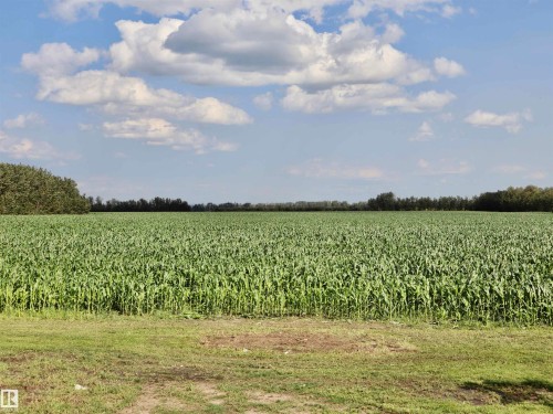 Expansive agricultural field with verdant crops under a clear sky with scattered clouds - 62503A Hwy 769, Rural Barrhead County, AB - Outdoor With View