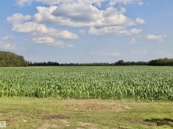 Expansive agricultural field with verdant crops under a clear sky with scattered clouds - 
