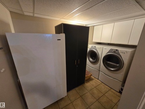 #337 2096 Blackmud Creek Dr Sw, Edmonton, AB - Indoor Photo Showing Laundry Room