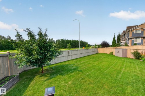 3906 6 Street Nw, Edmonton, AB - Outdoor With Backyard
