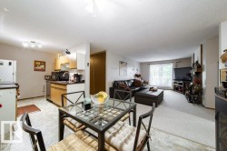 Open-concept living space featuring a combined kitchen and living area - 