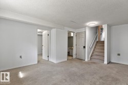 Carpeted room with white walls, baseboards, and trim - 
