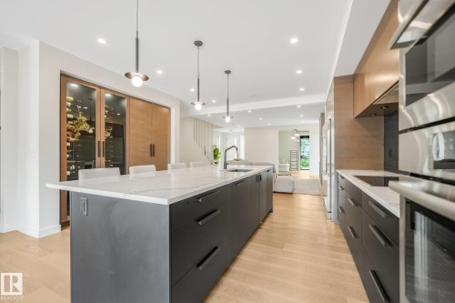 10925 University Avenue Nw, Edmonton, AB - Indoor Photo Showing Kitchen With Upgraded Kitchen