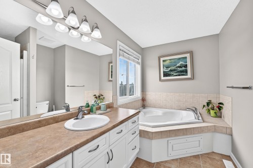 17803 89 Street Nw, Edmonton, AB - Indoor Photo Showing Bathroom