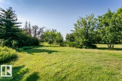 Expansive green lawn surrounded by mature trees and varied shrubbery - 
