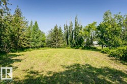 Expansive grassy area surrounded by mature trees and natural landscaping - 