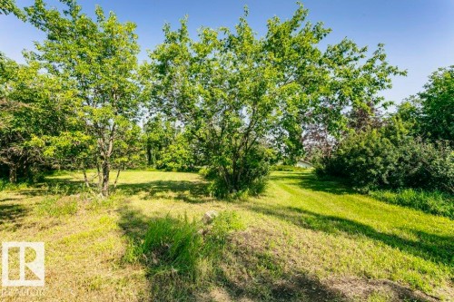 Expansive natural landscape with mature trees and varied foliage - 55319 Rge Road 222, Rural Sturgeon County, AB 