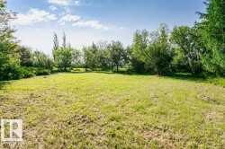 Expansive grassy area surrounded by mature trees and varied foliage - 