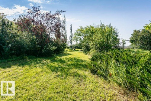 Expansive lawn area surrounded by mature trees and varied shrubbery - 55319 Rge Road 222, Rural Sturgeon County, AB 
