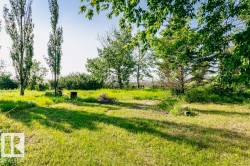 Expansive grassy area featuring mature deciduous and evergreen trees, with a distant wooden fence visible - 