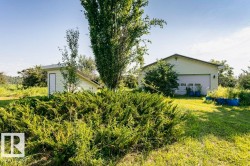 Expansive green space featuring a detached garage with a white roll-up door, a separate outbuilding with a white entry door, and mature trees - 