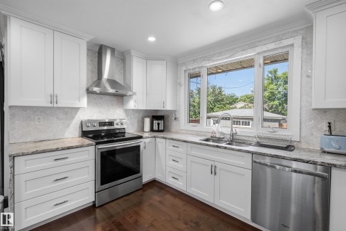 14604 93 Avenue Nw, Edmonton, AB - Indoor Photo Showing Kitchen With Stainless Steel Kitchen