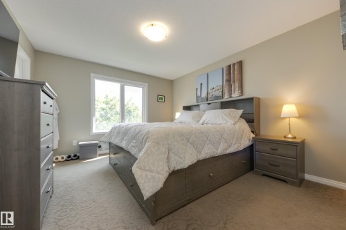 5881 168A Avenue Nw, Edmonton, AB - Indoor Photo Showing Bedroom