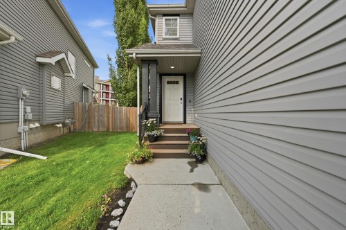 Concrete walkway leading to a welcoming front entrance - 3606 Whitelaw Bay Nw, Edmonton, AB - Outdoor