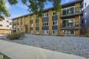 #1 10015 83 Av Nw Nw, Edmonton, AB  - Outdoor 