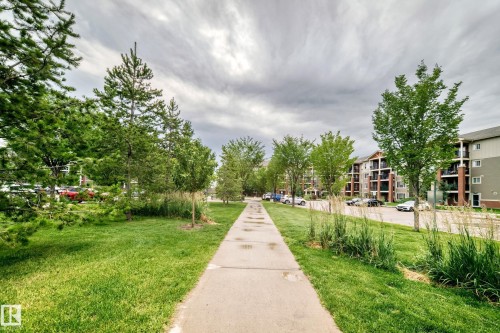 #411 3715 Whitelaw Ln Nw, Edmonton, AB - Outdoor