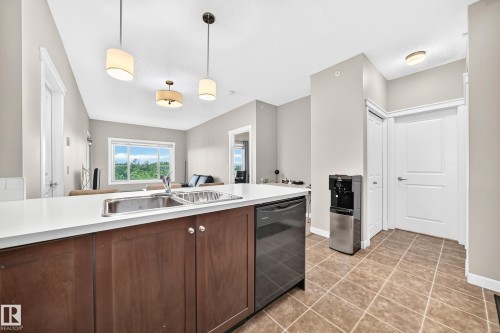 #411 3715 Whitelaw Ln Nw, Edmonton, AB - Indoor Photo Showing Kitchen With Double Sink