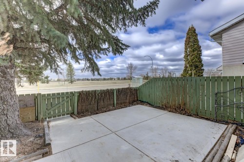 7D Callingwood Court Nw, Edmonton, AB - Outdoor