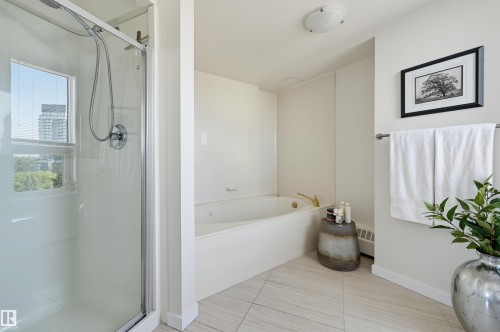 #1003 12319 Jasper Av Nw, Edmonton, AB - Indoor Photo Showing Bathroom