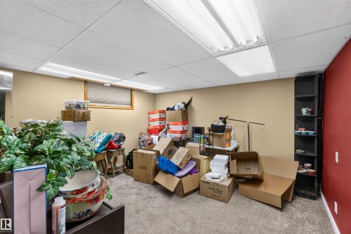 #35 53504 Rge Road 280, Rural Parkland County, AB - Indoor Photo Showing Basement
