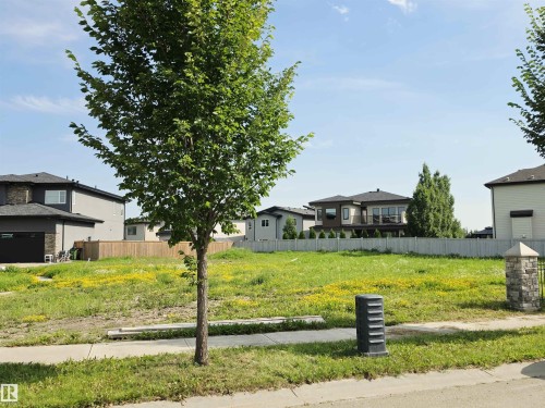 Expansive lot featuring a level grade and mature tree - 4178 Cameron Heights Point(E) Nw, Edmonton, AB 