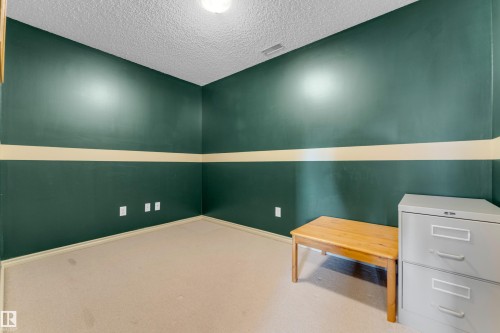 Carpeted room featuring dark green walls with a light accent stripe, white trim, and a ceiling-mounted light fixture - #136 16035 132 St Nw, Edmonton, AB - Indoor Photo Showing Other Room