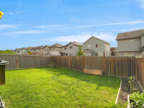 Expansive grass lawn backyard with a wood privacy fence - 1716 60 Street Sw, Edmonton, AB - Outdoor With Backyard
