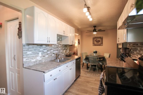 10D Twin Terrace Nw, Edmonton, AB - Indoor Photo Showing Kitchen With Double Sink