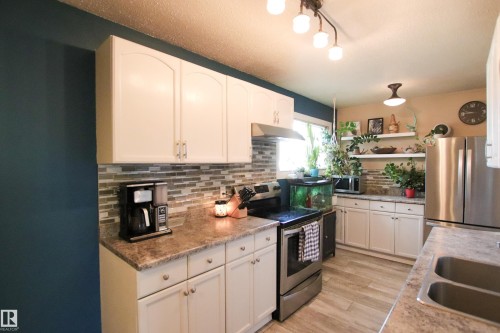 10D Twin Terrace Nw, Edmonton, AB - Indoor Photo Showing Kitchen With Double Sink