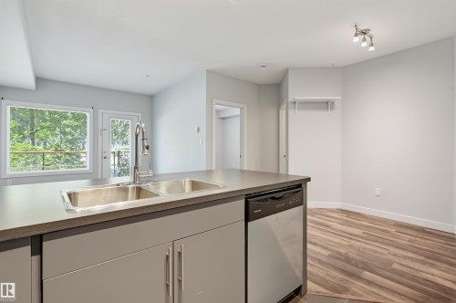 #103 10611 117 St Nw, Edmonton, AB - Indoor Photo Showing Kitchen With Double Sink