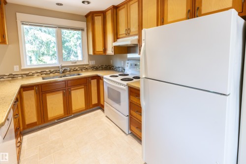 1108 39 Street Nw, Edmonton, AB - Indoor Photo Showing Kitchen With Double Sink