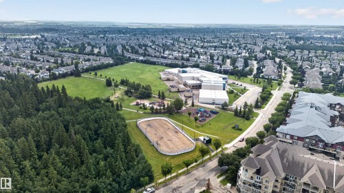 Expansive residential area featuring a large green space, mature tree line, and an outdoor recreational rink - #84 1304 Rutherford Rd Sw, Edmonton, AB - Outdoor With View