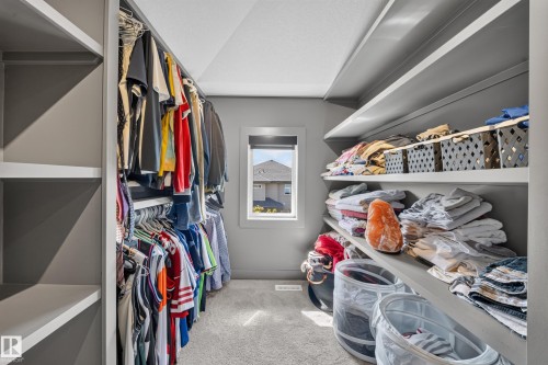 1116 Hainstock Green Sw, Edmonton, AB - Indoor With Storage