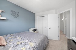 Carpeted room with a blue accent wall and white trim - 