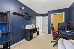 Carpeted room with a white ceiling and contrasting blue walls - 