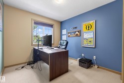 Room featuring a prominent window, carpeted flooring, and a blue accent wall - 